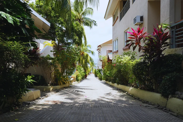 Pier Uno Dive Resort - Vicinity (4)