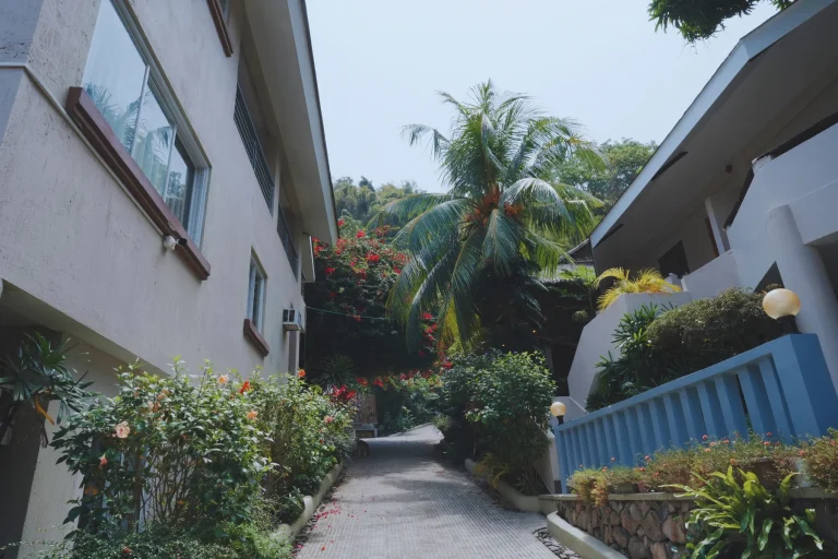 Pier Uno Dive Resort - Vicinity (6)